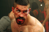 Im Visier eines hemmungslosen Gegners: Knastfighter Boyka (Scott Adkins) ... Im Visier eines hemmungslosen Gegners: Knastfighter Boyka (Scott Adkins) ...