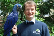 Dr. Matthias Rheinschmidt, Direktor des Zoos Karlsruhe, mit Hyazintara Henry, den er von Hand aufgezogen hat.