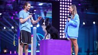 Dominik mit seinem Border Collie "Ninja" in Runde 1. Rechts Moderatorin Laura Wontorra. Dominik mit seinem Border Collie "Ninja" in Runde 1. Rechts Moderatorin Laura Wontorra.