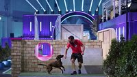 Alexander mit seinem Bayerischen Gebirgsschweißhund "Franziska" in Runde 1. Alexander mit seinem Bayerischen Gebirgsschweißhund "Franziska" in Runde 1.