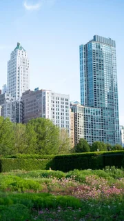 Garten in Amerika