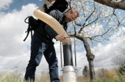 Professor Klaus Birkhofer mit seinem Insektensauger in Aktion: So lässt sich beispielsweise bestimmen, wie viele Spinnen sich pro Quadratmeter tummeln.