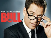 (3. Staffel) - Bull - Artwork