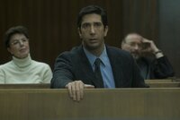 Macht sich große Sorgen um seine Frau: Ray (David Schwimmer) .... Macht sich große Sorgen um seine Frau: Ray (David Schwimmer) ....