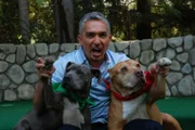 Cesar Millan stattet ehemaligen Problemfällen einen Besuch ab, um zu sehen ob sich die Beziehungen der Hunde und ihrer Besitzer auch auf lange Sicht entscheidend gebessert haben ...