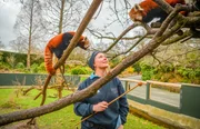 Tierpflegerin Hayley bei den Katzenbären (Rote Pandas).