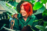 Tierpflegerin Pip kümmert sich liebevoll um die Antillen-Ochsenfrösche.