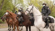 Der erste Großeinsatz für die Hamburger Reiterstaffel seit der Corona-Pandemie: Bei der alljährlichen 1. Mai-Demonstration behalten Dörte Thies und ihr Team den Überblick.