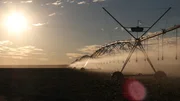 Unter der Sonne Südafrikas brauchen die Felder viel Wasser aus dem Orange River. Sprinkler verteilen das kostbare Nass an jeden Ort im Kreis.