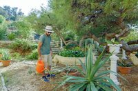 Gartenretter Fernando Mifsud hat einen historischen Ort Maltas wiederauferstehen lassen.