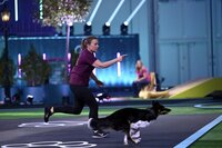 Mona mit ihrem Border Collie "Qju" in Runde 2 des Finales, dem _Doghouse_. Mona mit ihrem Border Collie "Qju" in Runde 2 des Finales, dem _Doghouse_.