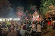 Drei bekannte Festivals mit unterschiedlichen musikalischen Ausrichtungen finden erneut zeitgleich statt: Im Stream wechseln sich die Festivals nach bewährtem Prinzip ab.