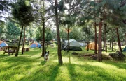 campsite