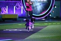 Melanie mit ihrem Border Collie "Trouble" in Runde 2 des Finales, dem _Doghouse_. Melanie mit ihrem Border Collie "Trouble" in Runde 2 des Finales, dem _Doghouse_.