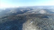 Der Pfälzer Wald, das größte zusammenhängende Waldgebiet Deutschlands,  beheimatet zahlreiche Wildtierarten und einen jahrhundertealten Baumbestand.