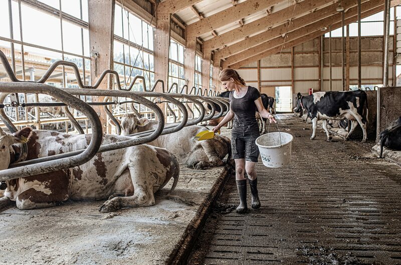 Die Bauernhof-Retterin: Betriebshelferin Chiara hilft Landwirten in Not (D, 2021)