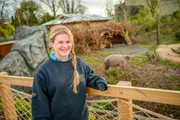Tierpflegerin Hannah vor dem Hirscheber (Babirusa) Gehege.