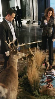 Im Naturkundemuseum wird eine von fleischfressenden Käfern fast vollständig skelettierte Leiche gefunden. Detective Taylor (Gary Sinise) und Detective Bonasera (Melina Kanakaredes) ermitteln.