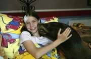 Nachdem Laura (Laura Lehnhardt) sich bei einem Bootsunfall eine Gehirnerschütterung zugezogen hat, soll sie einige Tage im Bett verbringen. Doch Robbie lässt es sich nicht nehmen, ihrer kleinen Freundin mehrmals am Tag einen Krankenbesuch abzustatten ...