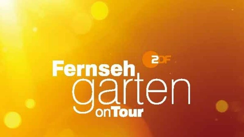 ZDFFernsehgarten / ZDFFernsehgarten on tour Bilder TV Wunschliste