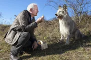 Urban Fuchs (Peter Bongartz) sammelt Kräuter mit seinem Hund Herrn Kaiser.