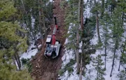 The company boss wants to cut down some selected trees in "Wolf's Den" at the end of the season.