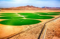 Ein faszinierendes Spektakel in der Wüste Arizonas: Jedes dieser kreisrunden Felder wird dank einer Art unterirdischem Riesenstrohhalm mit Grundwasser bewässert.