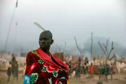 Das Volk der Dinka, Sudd.