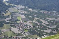 Die klimatischen Bedingungen in Südtirol - fast mediterran - sind nahezu ideal für das Heranreifen von Äpfeln. Die klimatischen Bedingungen in Südtirol - fast mediterran - sind nahezu ideal für das Heranreifen von Äpfeln.