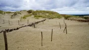 Die Kurische Nehrung mit ihren endlos langen Sandstränden. Die Wanderdüne gehört zum litauischen Nationalpark und darf nur an gekennzeichneten Stellen betreten werden.
