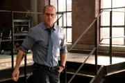 Christopher Meloni as Detective Elliot Stabler