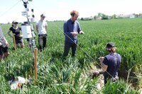 Wie verhalten sich Böden und resistente Pflanzensorten bei steigenden Temperaturen? Forscher der Ludwig-Maximilians-Universität München bei Feldversuchen. Wie verhalten sich Böden und resistente Pflanzensorten bei steigenden Temperaturen? Forscher der Ludwig-Maximilians-Universität München bei Feldversuchen.