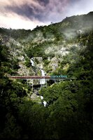 Die Nebenstrecke nach Kuranda führt durch tropische Wildnis. Die Nebenstrecke nach Kuranda führt durch tropische Wildnis.