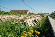 Schneckenfarm von Andreas Gugumuck