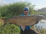 Kaum zu glauben! Solche Graskarpfenriesen schwimmen im Elbe-Lübeck-Kanal.