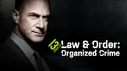 Law & Order: Organized Crime - S1 - Poster