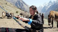 Die Yakhirten in Bhutan weben ihre Stoffe aus Yakwolle selbst. Die Yakhirten in Bhutan weben ihre Stoffe aus Yakwolle selbst.
