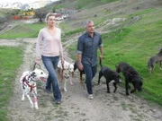 (6. Staffel) - Cesar Millan (r.) ist momentan der berühmteste und gefragteste Experte in Sachen Hundetraining. Aber hier geht es nicht nur darum, Hunde auszubilden - es ist vielmehr ein Training für Hundebesitzer. Jede Episode greift neue tagtägliche Probleme der Halter auf ...