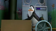Kowalski