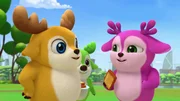 L-R: Kai, Bobbi, Lola