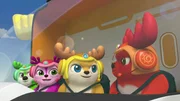 L-R: Bobbi, Lola, Kai, Rammy