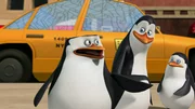 L-R: Skipper, Kowalski, Private