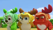 L-R: Bobbi, Kai, Rammy