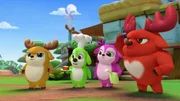 L-R: Kai, Bobbi, Lola, Rammy