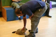 Jason and Marmot Mot Mot.