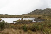 a lake in Columbia