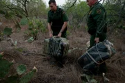 Brownsville, TX, USA: U.S. Border Patrol agents lifting confiscated bundles.