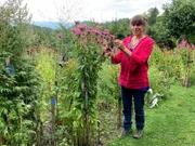 Sissy Sichart - Kräuterfrau und Gartengestalterin.