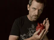 Dr. House (Hugh Laurie)