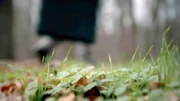 Die Leiche des Opfers wurde in einem Koffer in den Wald transportiert.